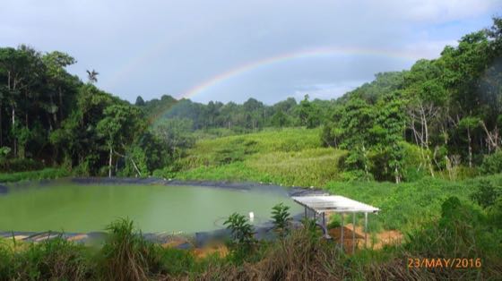 Farm, Permaculture & Regenerative